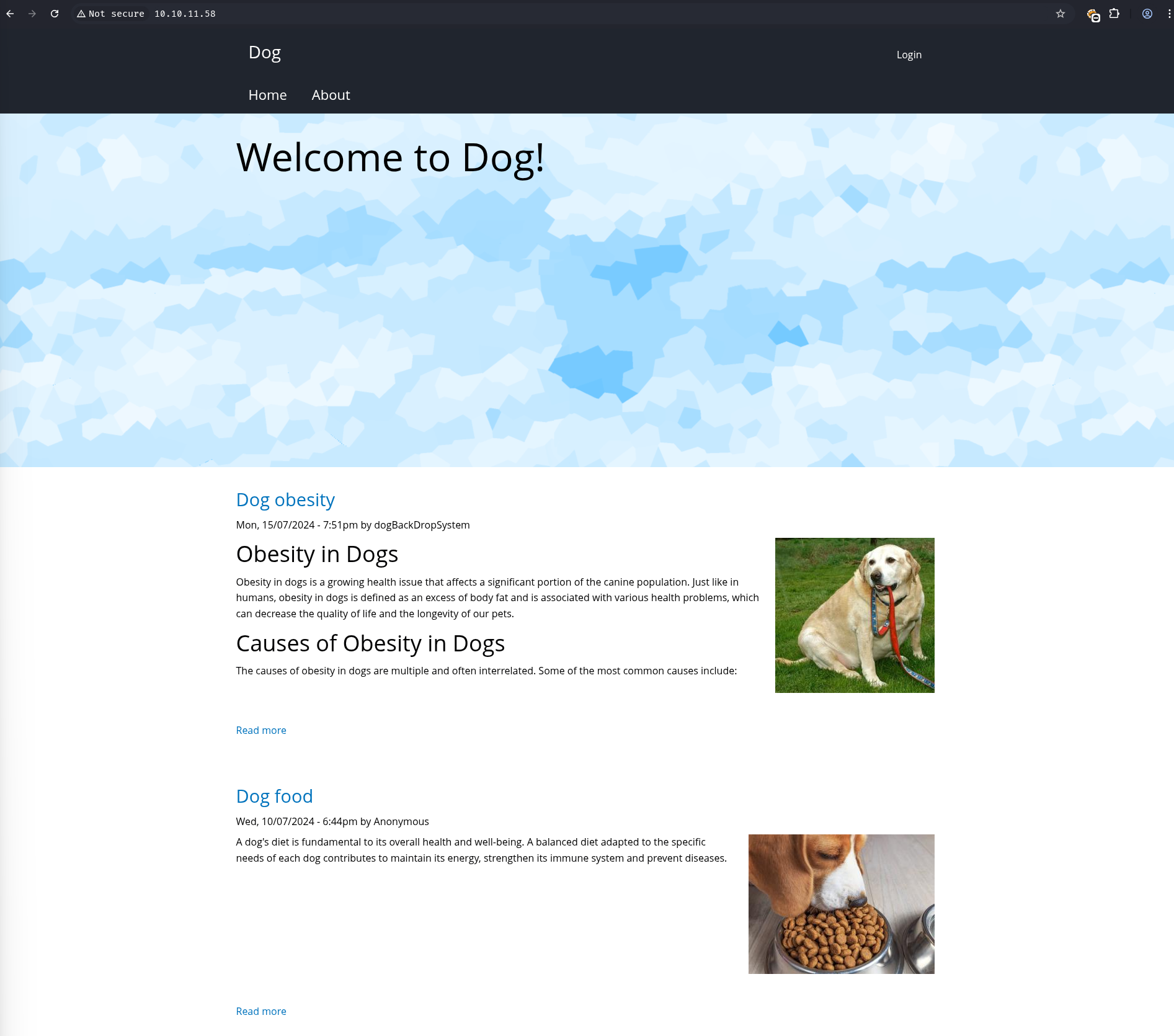 webpage