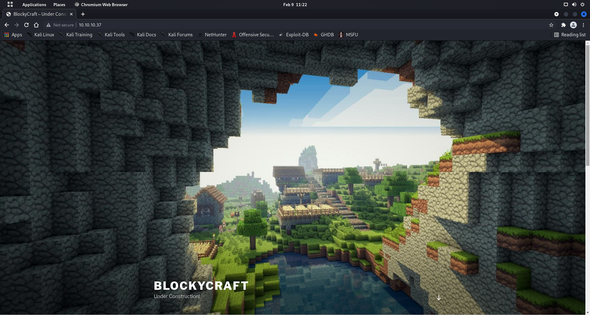 Website