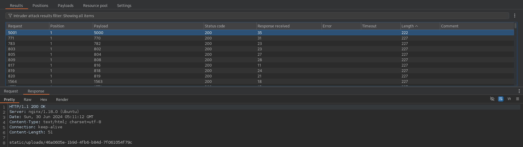 burp_intruder_result
