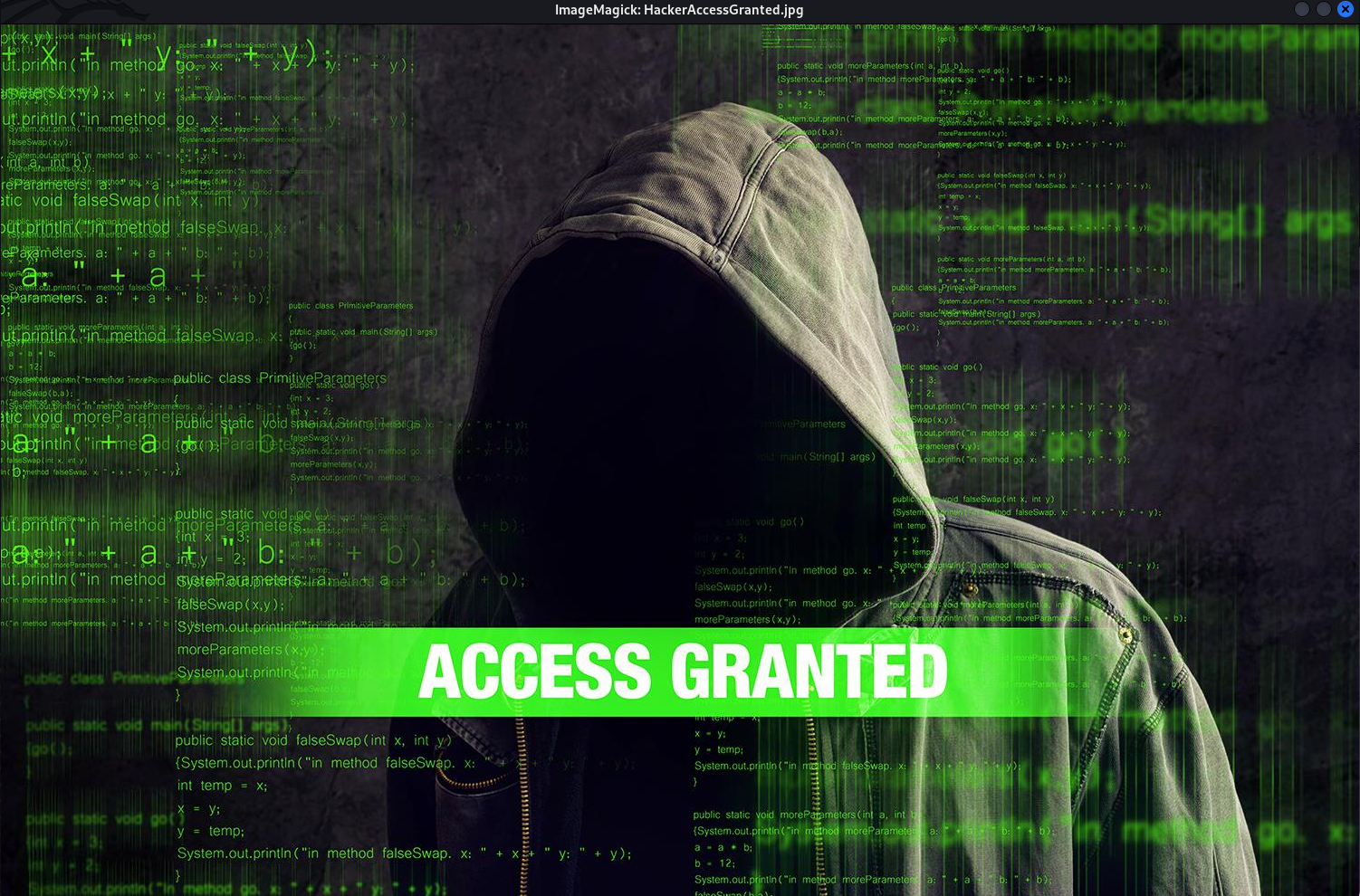 hacker_granted_access_image