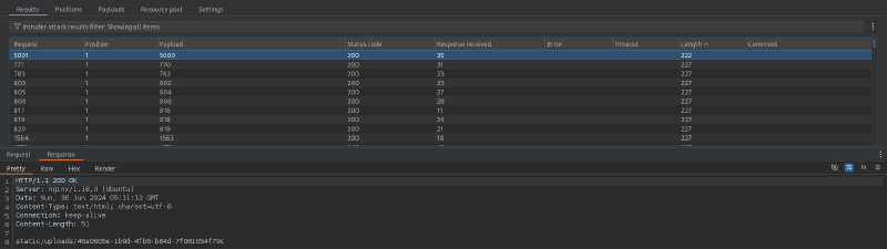 burp_intruder_result